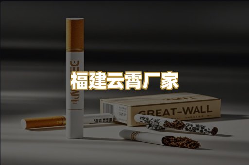 福建云霄厂家